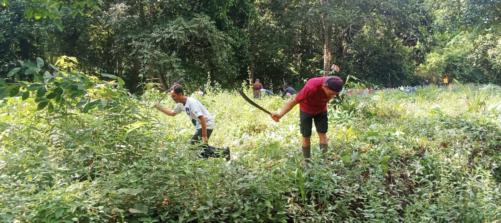  PEMDES AIR SENGGERIS MELAKSANAKAN KEGIATAN RUTIN GOTONG ROYONG 